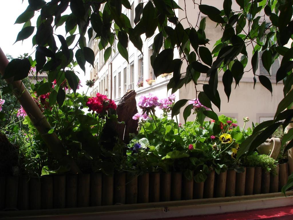 Chambres Les Soyeuses Лион Экстерьер фото